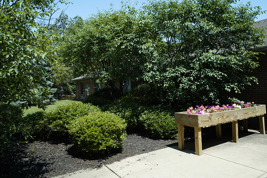 Trees, plants and pink and violet flowers in manicured garden- Arbors at Sylvania
